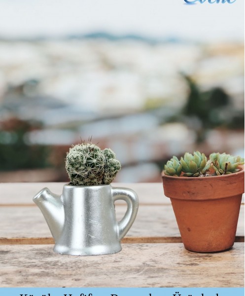 Mini Çiçek Saksı Küçük Sukulent Gümüş Kaktüs Saksısı 3'lü Set Mini  Çaydanlık Model - eminicaydanliksetsaksi